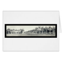Royal Palms Miami FL Photo 1921 cards