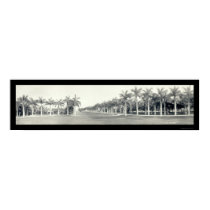 Royal Palms Miami FL Photo 1921 posters