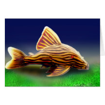 Royal Pleco Greeting Card