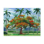 Royal Poinciana postcard