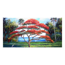 Royal Poinciana Tree Art Photo Card Template
