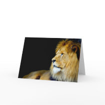 Royal Portrait Cards