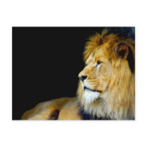 Royal Portrait Post Card