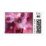 Royal Postage Stamp