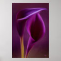Royal Posters