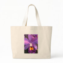 Royal Purple Cattleya Orchid