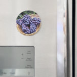 Royal Purple Grapes Magnets