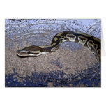 Royal Python or Ball Python cards