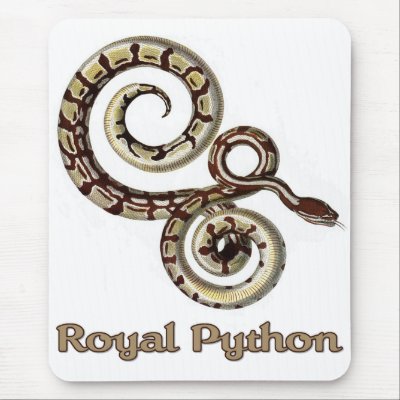 Royal Python Snake Mouse Mats from Zazzle.com