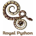 Royal Python Snake t-shirts by Memory_Lane Royal Python Snake t-shirts
