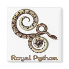 square_magnet - Beautifully detailed design featuring a Royal Python. This snake has lovely markings.: Sizes 