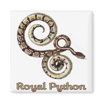 Royal Python-Square magnets