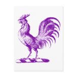 Royal Rooster Purple Post Card
