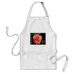 Royal Rose Apron