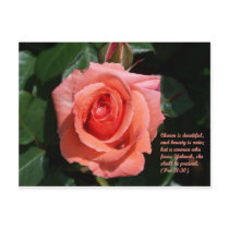 Royal Rose postcards by cponton Royal Rose postcards