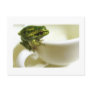 royal teatime post card