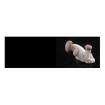 Royal Trumpet Mushroom Profile Card business cards