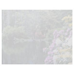Rozelle Lake, Ayr, Scotland  flowers letterhead