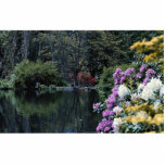 Rozelle Lake, Ayr, Scotland Photo Sculptures