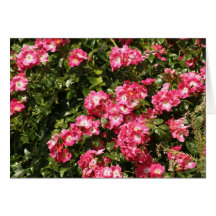 rozen, rozen, rozen greeting card