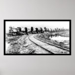 RR Train with Redwood Logs 1919 posters