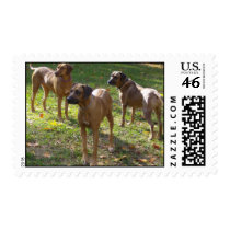 RRUS stamps