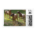 RRUS POSTAGE