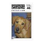 RRUS POSTAGE