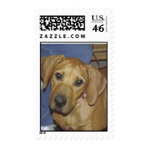 RRUS stamps