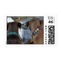 RRUS stamps
