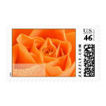 RSVP Autumn Rose Postage Stamp
