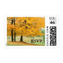 RSVP Autumn Wedding Fall Wedding Invitation Stamps