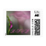 RSVP Calla Lilies