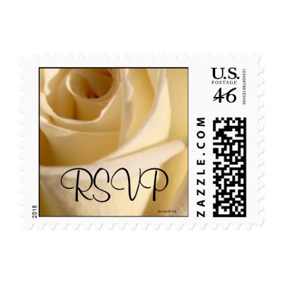 RSVP Cream Rose Wedding Postage Stamp (Square)