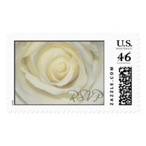 RSVP Cream Wedding Day Rose postage by aslentz RSVP Cream Wedding Day Rose postage