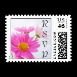 RSVP Daisy Postage