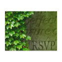 RSVP Event And Wedding Invitation Postcard