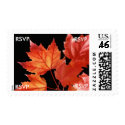 RSVP Fall Wedding Invitations Postage Stamps by FallSeason RSVP Fall Wedding Invitations Postage Stamps