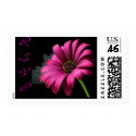 RSVP Fushia Pink Gerber Daisy postage by SweetRascal RSVP Fushia Pink Gerber Daisy postage