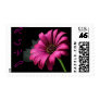 RSVP Fushia Pink Gerber Daisy