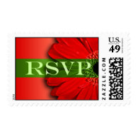 RSVP Gerbera Daisy Event And Wedding Postage Stamp