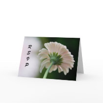 RSVP Gerberas Card
