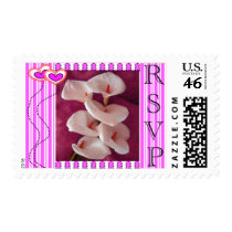 RSVP MAGENTA CALLA LILLIES Invitations postage