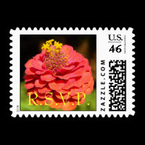 RSVP Mod Zinnia Stamp