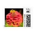 RSVP Mod Zinnia Stamp