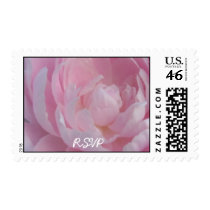 RSVP Pale Pink Peonies Wedding Postage Stamps stamps
