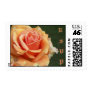 RSVP Peach Rose