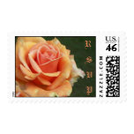 RSVP Peach Rose Postage Stamp