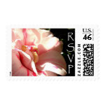 RSVP - Pink Blossom stamp