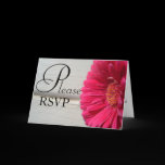 RSVP Pink Daisy Greeting Card